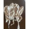 Used Natural material cocoon silk fiber for spinning