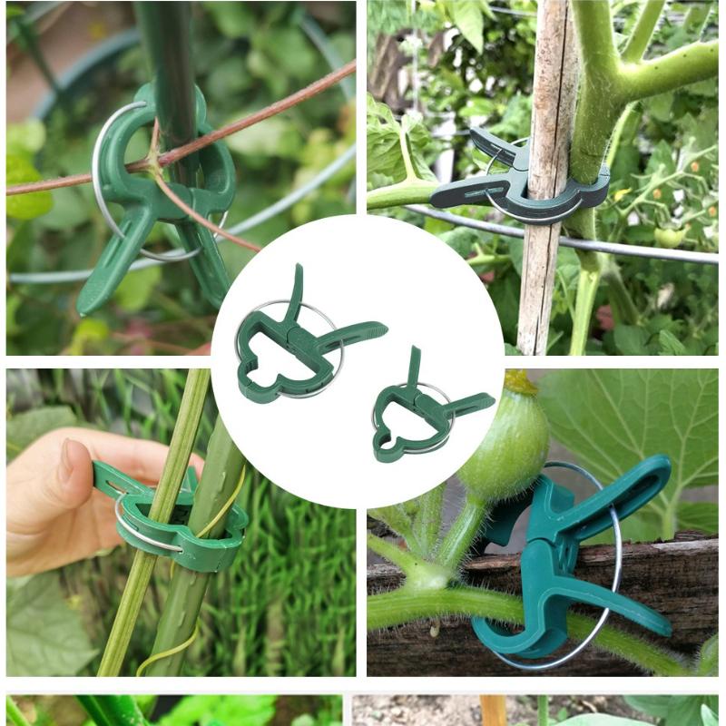 20Pcs Plant Fixed Clips Reusable Garden  Greenhouse Bracket for Fixed Plants Vine Flower  Seedling Stem Suppor t Garden Supplies