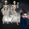 90cm Halloween Skeleton Decor Poseable Joints For Creepy Positions, Perfect For Yard/haunted House Displays Skeleton Props