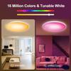 30W Intelligent RGB Dimming Ceiling Lamp 220 V Wi-fi+BT 2.4G Remote Controlling Built-in Microphone