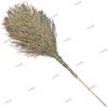 Heavy-Duty Wooden Handle Outdoor Broom
