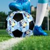Bluey Theme Size 5 Soccer Ball, Suitable for Both Indoor and Outdoor Matches, a Gift Suitable for Everyone.