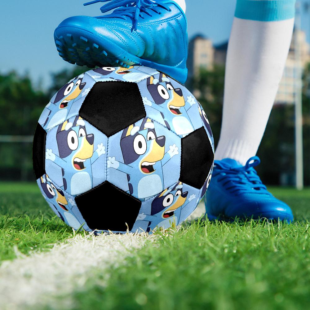 Bluey Theme Size 5 Soccer Ball, Suitable for Both Indoor and Outdoor Matches, a Gift Suitable for Everyone.