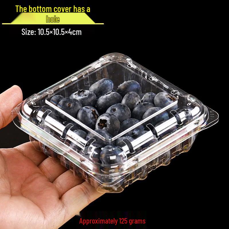 Disposable Rectangular Plastic Fruit Containers with Lids, 100-Pack