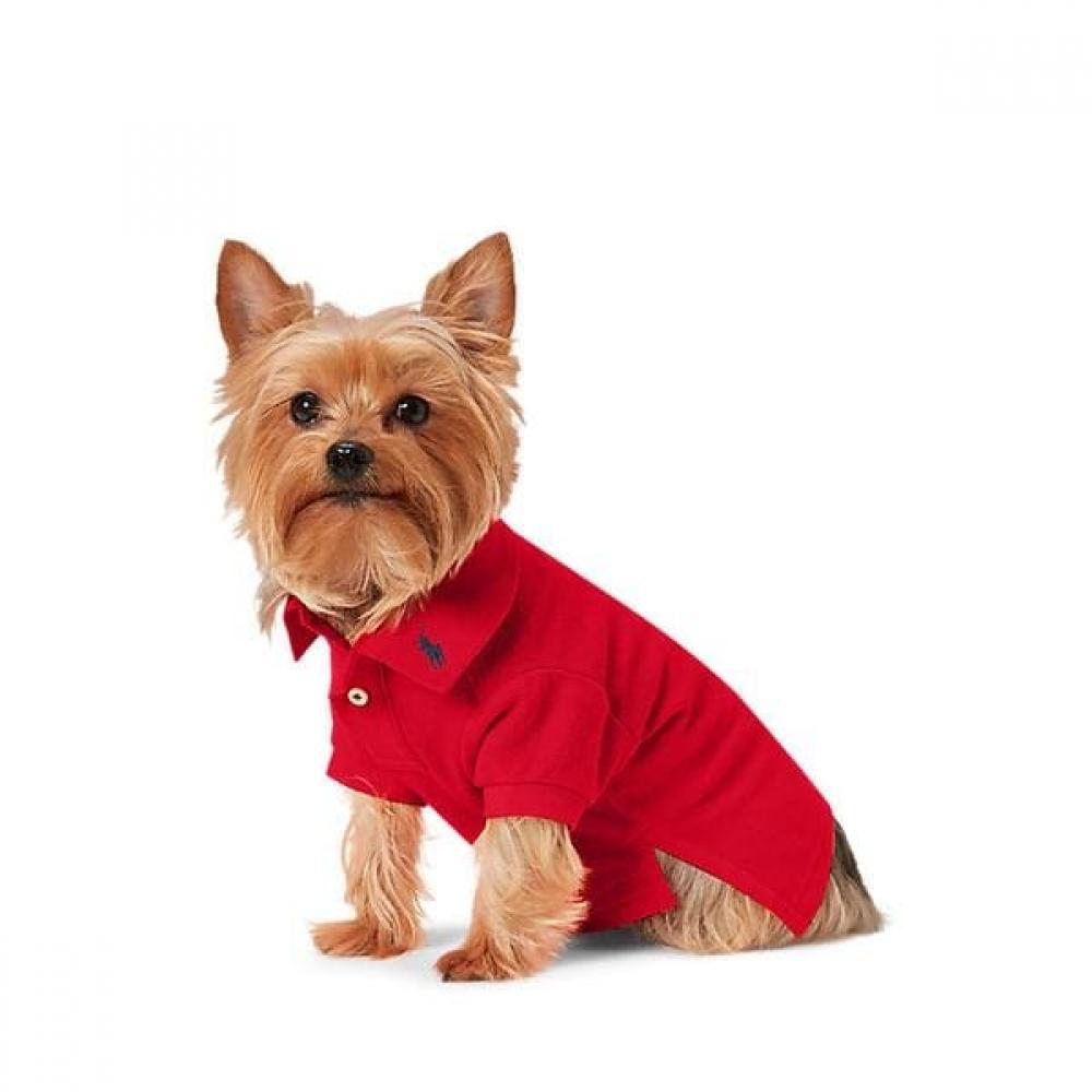 Polo Ralph Lauren Cotton Mesh Dog Polo Shirt Hmpogfthr920048600 XLARG