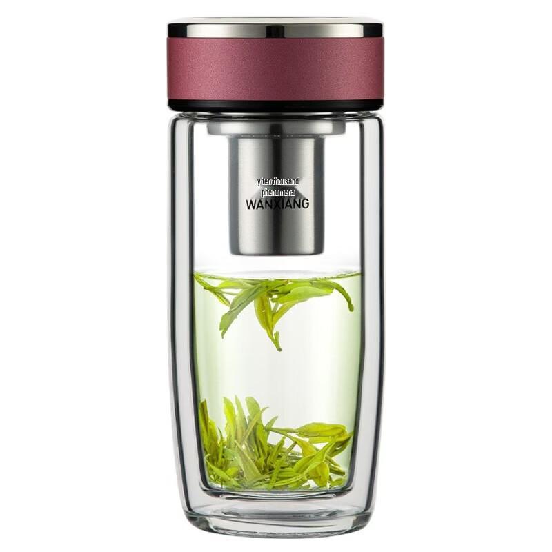 WANXIANG Double-Layer Insulated Tea Infuser Glass Cup