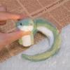Foldable Snake Year Mascot Plush Toy – Soft & Small Gift for Events