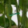 Gardening Figure-8 Buckle Plant Fixing Clips for Vegetables, Fruits, and Vines