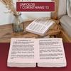 Bible Verse Pillow Faith Plush Pillow Christian Home Accent Realistic Bible Pillow Book Plush Throw Cushion Wear Resistant Sofa