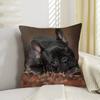 Anime French Bulldogs Lucky Dragon Pillow Cover Sofa Cushion Cover Home Room Decoration Children Gift