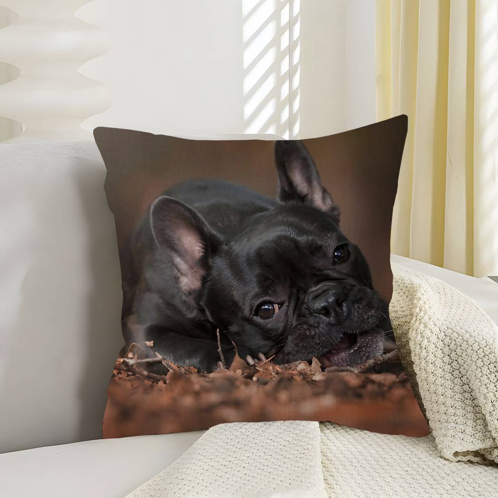 Anime French Bulldogs Lucky Dragon Pillow Cover Sofa Cushion Cover Home Room Decoration Children Gift