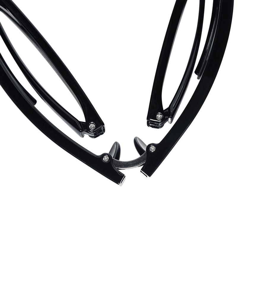 WACKY WILLY [Wacky Willy X Reclow] Hoye Folder Sunglasses Black