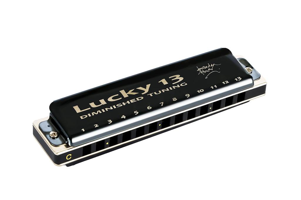 East top Harmonica Blues Harmonica 13 Hole A Key Jazz Professional Adults Kids Study Practice Brass Cover Canvas Case Lucky13 (Diminished-C)…