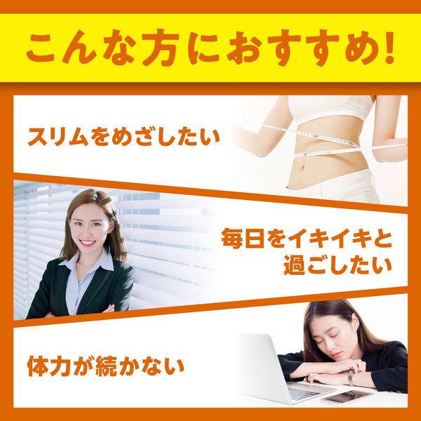 DHC Alpha-Lipoic Acid 210mg 120 Capsules (60-Day Supply) Energy & Metabolism Support S2250