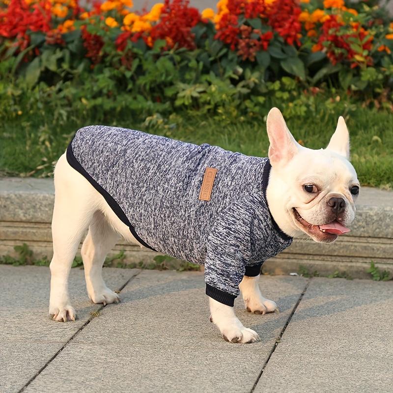 New Two-legged Multi-color Dog Clothing, Puppy Thin Velvet Sweater, Dogs And Cats Pet Clothes For Autumn And Winter