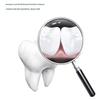 Leng Suan Ling Crystal Salt Fresh White Toothpaste