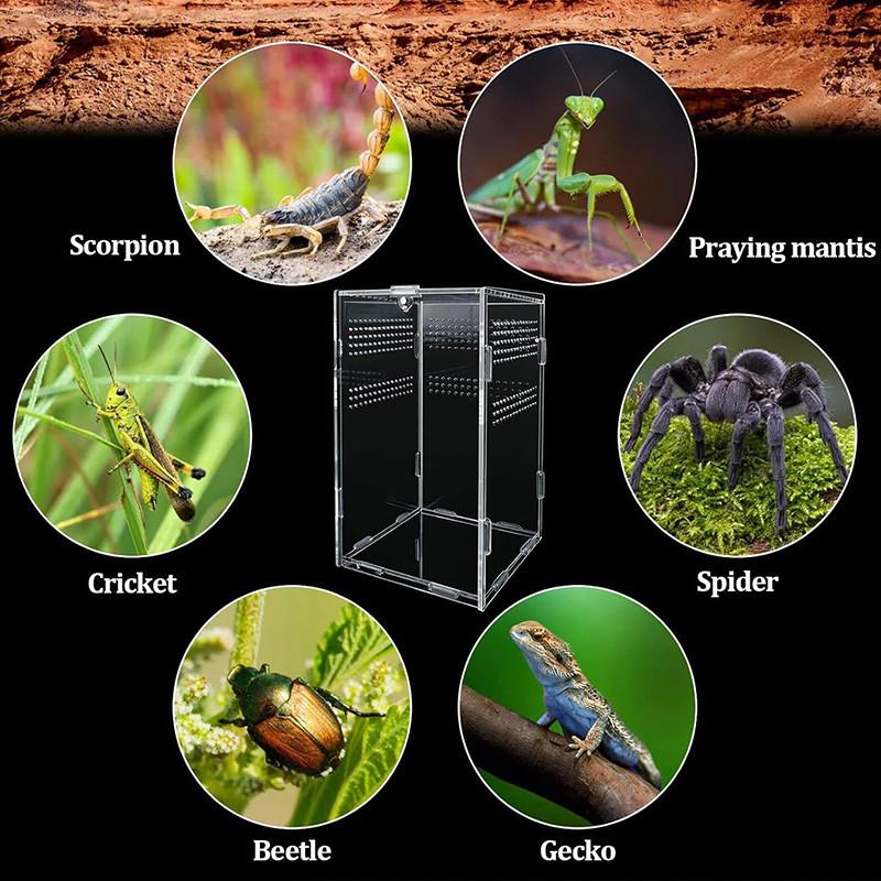 Transparent Acrylic Reptile Breeding Box 5 Size Structure Plate Insect Breathable Terrarium for Garden Cultivate Insect Breeding