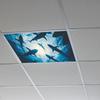 Underwater World Shark Bedroom Living Room Study Ceiling Beautification and Decoration Stickers