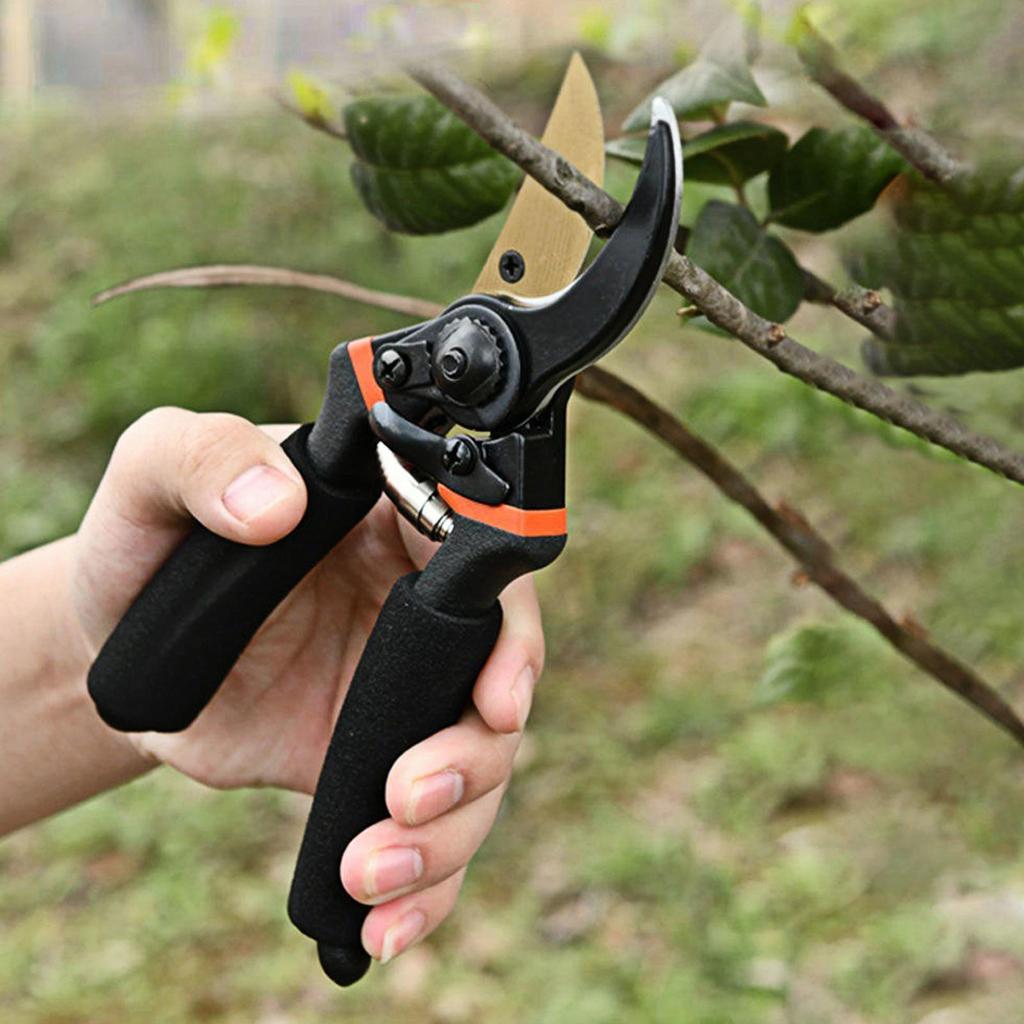 Edelstahl Professionelle Gartenschere zum Beschneiden von Ästen Obstbäumen Blumen Haushalt Beschneidewerkzeuge Schere