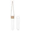 9pcs Wall Hanging Glass Planter Wall Mounted Decorative Flower Vase Set Small Wall Vase Window Decoration