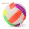 LED Flashing Color Changing Bouncing Massage Hedgehog Ball Volleyball Kid Toy Toys For All Ages