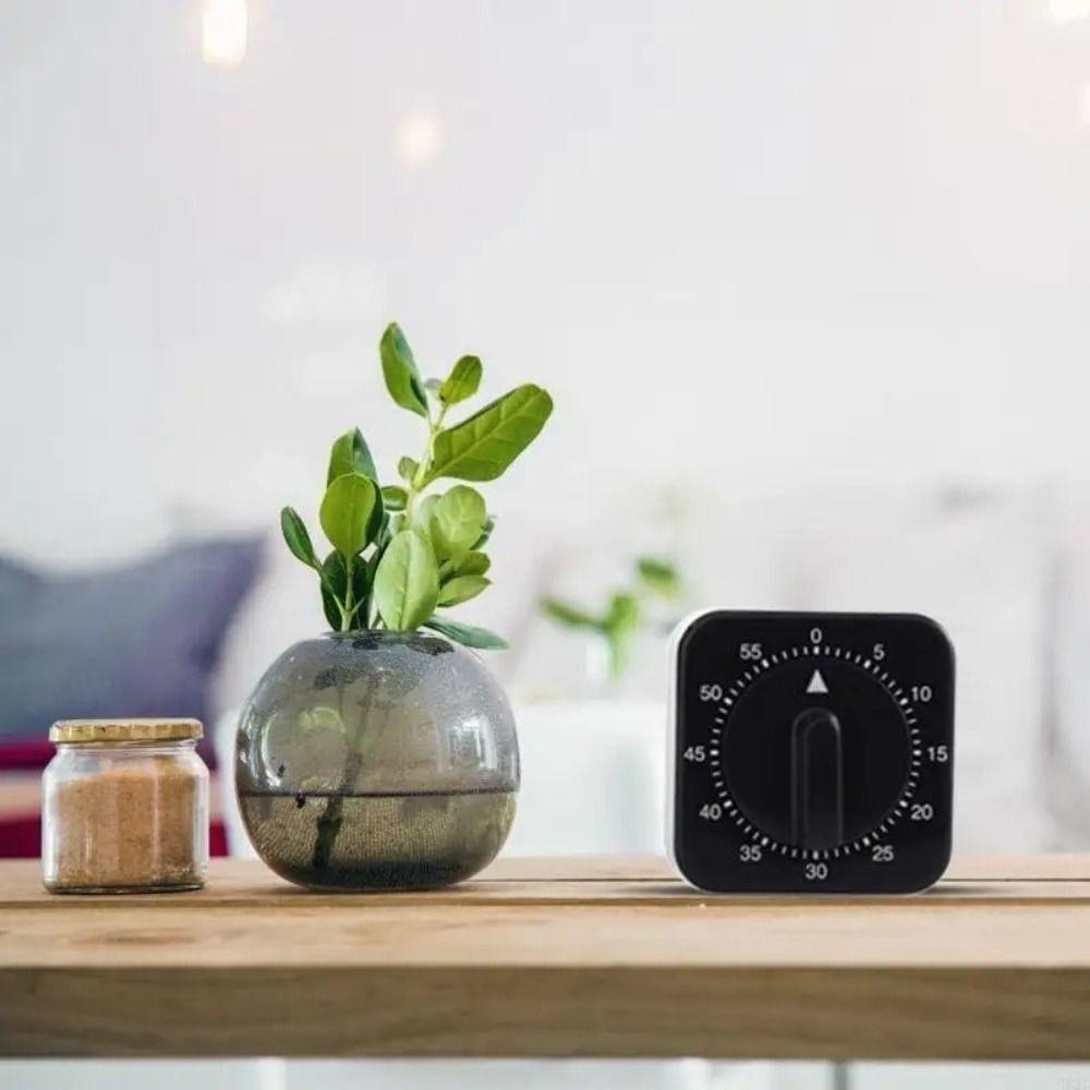 Loud Alarm Mechanical Kitchen Timer Plastic Visual Countdown Timer Children's Timer Kitchen