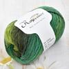 6pcs 300g (10.56oz) Soft Wool Yarn for Knitting Crochet DIY Blanket Shawl Scarf Amigurumi Jewelry Making Premium Craft Supplies Needle Arts Yarn