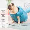Portable Foldable Pet Drying Bag Folding Dog Hair Dryer Box Blow Pet Bellows Grooming Bag Pet Supplies Pet Hair Drying Clothes