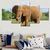 5 Pieces Canvas Wall Arts Animals Modular Poster And Picture Painting Elephone Wallpaper Home Decor Living Room Murals Artwork