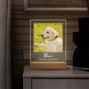 Personalized Name Photo Frame for Dog Memorial Pet Picture Plaque A Touching Memorial Gift for Those Who Lost a Beloved Dog