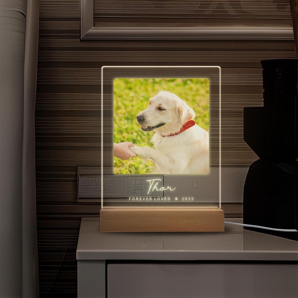 Personalized Name Photo Frame for Dog Memorial Pet Picture Plaque A Touching Memorial Gift for Those Who Lost a Beloved Dog