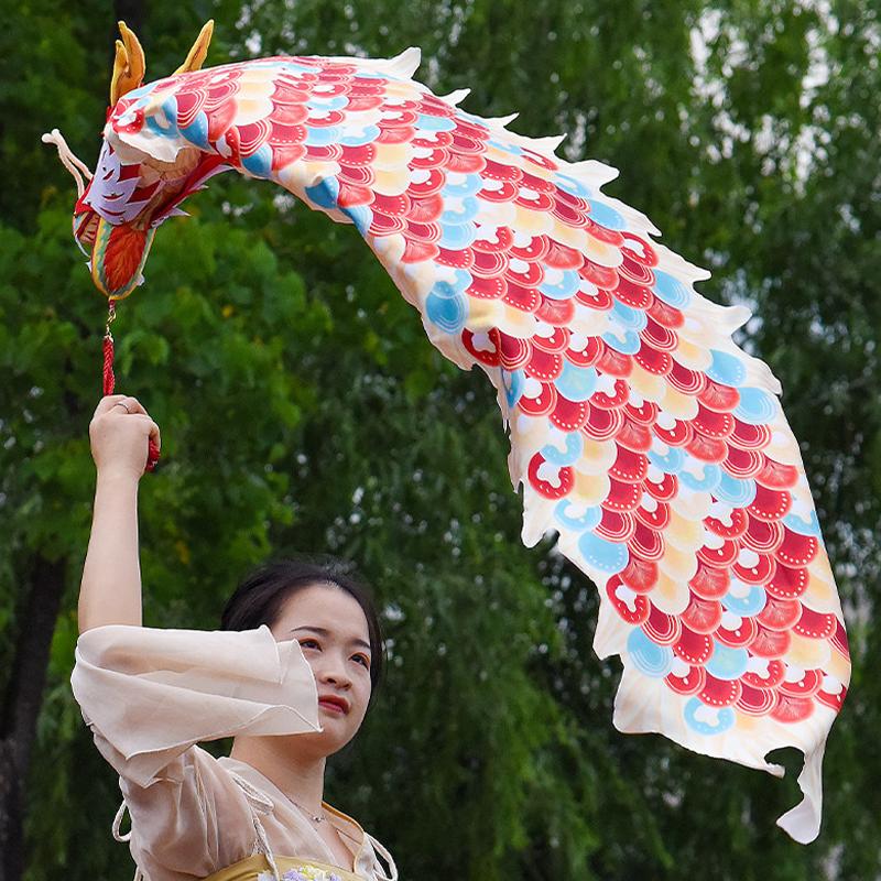 Chinese Traditional Dragon Dance Ribbon Festival New Year Performance Props Outdoor Gymnastics Fitness Practice Accessory