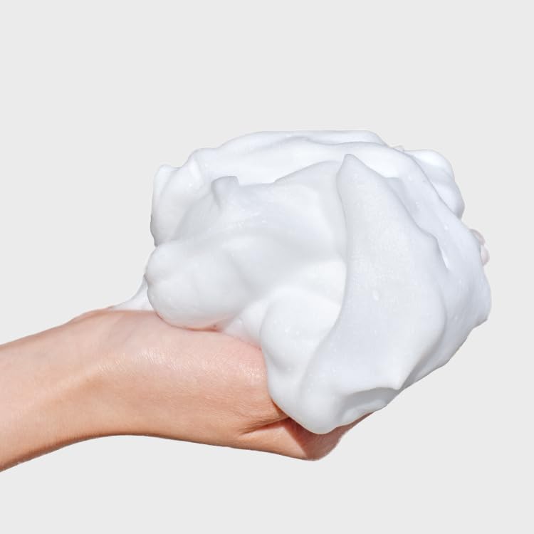 EVERYSKIN Day Wash 110g Human Ceramide NMF Sebum Film Dense Foam Sebum Stains Dead Skin Redness Itching Dry Skin Sensitive Skin