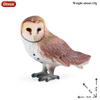 Oenux  Wild Animals Forest Orangutan Pigeon Hedgehog Aardvark Capybara Action Figure Model Figurines Pvc Collection Kids Toy