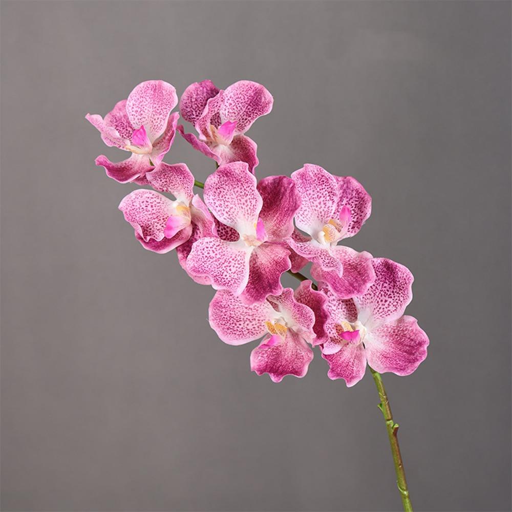 Plastic Phalaenopsis Branch Moisturizing Real Touch Orchids Simulation Flower  Office Decor