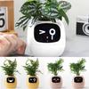 Smart Life Ivy Smart Planter,Endless Fun Over 49 Rich Expressions,7 Smart sensors,AI Chips Make Raising Plants Easy and Fun