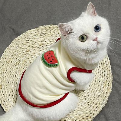 Pet Clothes Cat Vest for Persian Cat Siamese Kitten Spring Autumn Thin Teddy Bear Schnauri Dog Clothes Summer Small Dog Tank Top