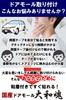 Door Molding with Adhesive Door Guard Made in Japan Car
