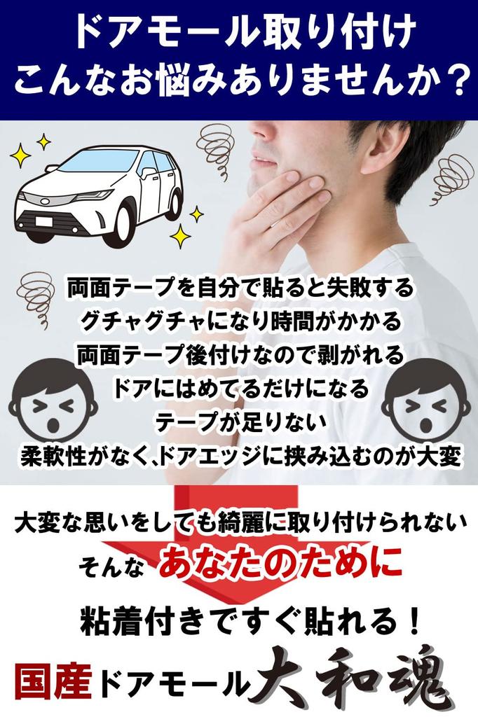 Door Molding with Adhesive Door Guard Made in Japan Car