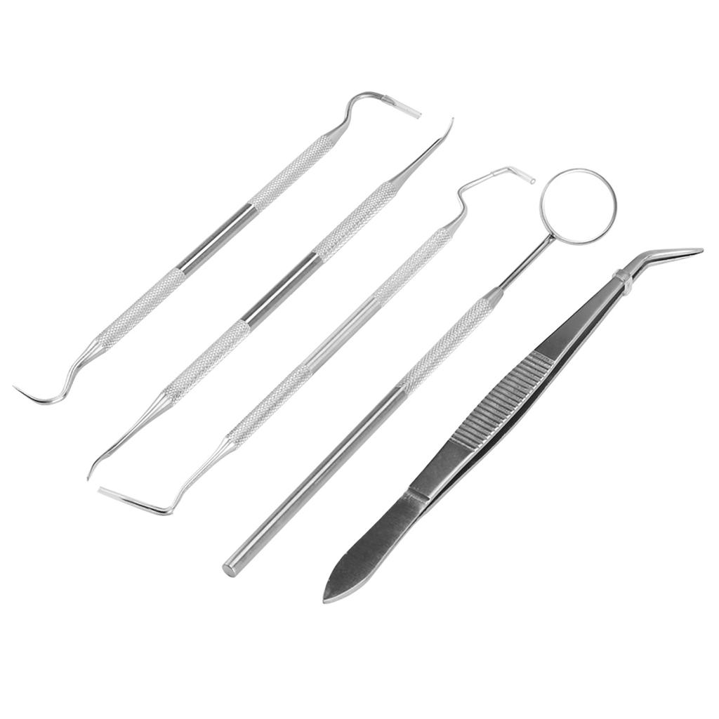 5Pcs Professional Stainless Steel Dentist Tools Set Dental Hygiene Cleaning  Kit