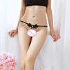 Chic Thong See-through Pornographic Underpants Embroidery Low Waist G-string for Inner Wear