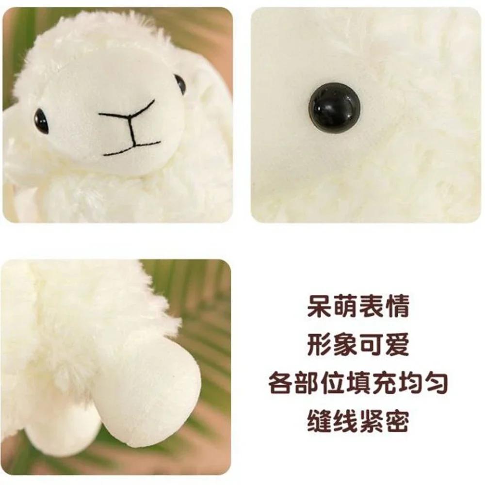 35CM Cartoon Kid Plush Toy Big Kawaii White Sleeping Pillow To Soothe Small Curly Doll To Give Children Birthday Christmas Gift