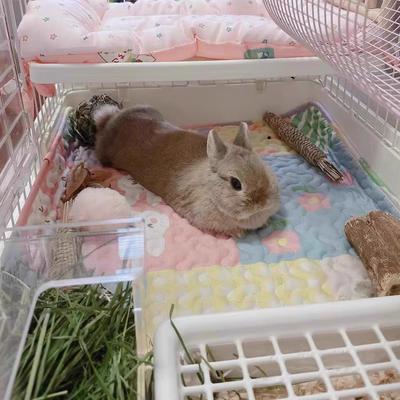 Chovatelské potřeby – Podložky, rohožky, pelíšky