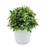 Home Furnishings, Wedding Decoration, Artificial Green Plants and Grass Fragrance Bonsai (green and Yellow)