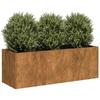 VidaXL Rusty Planter 120x40x40 Cm Stainless Steel, Flower Pot, Plant Stand, Raised Bed, Stand of 860681