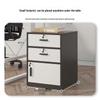 Modern Minimalist Filing & Archive Cabinet with Lock for Home & Office Storage
