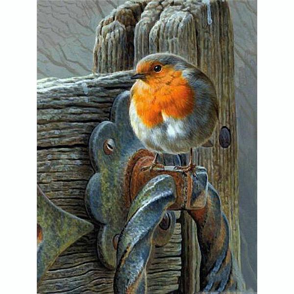 

5D DIY Алмазная картина Набор отдыха Птица Искусство Алмазная вышивка Стразы Украшения для дома Square 30x40cm