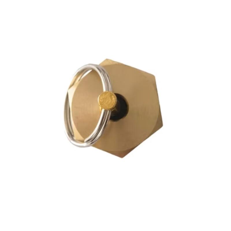 SHACMAN Air Reservoir Drain Valve