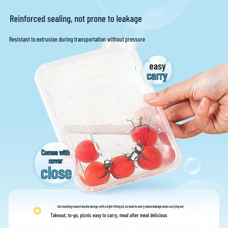 Disposable Rectangular Clear Plastic Lunch Boxes with Lids