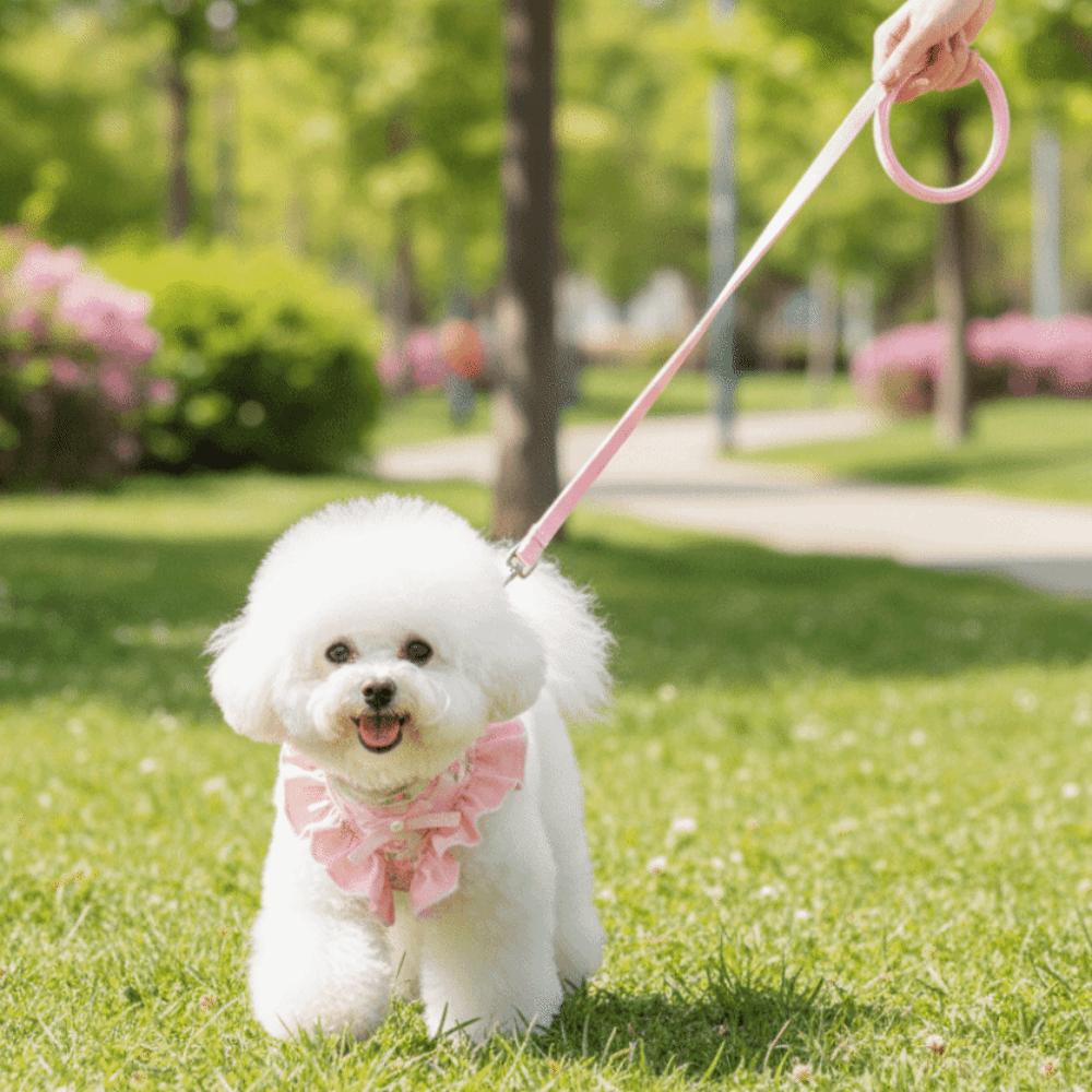 Verstellbares Hundegeschirr und Leine Ausbruchsicheres Katzen-Geschirr Weste für Outdoor-Aktivitäten